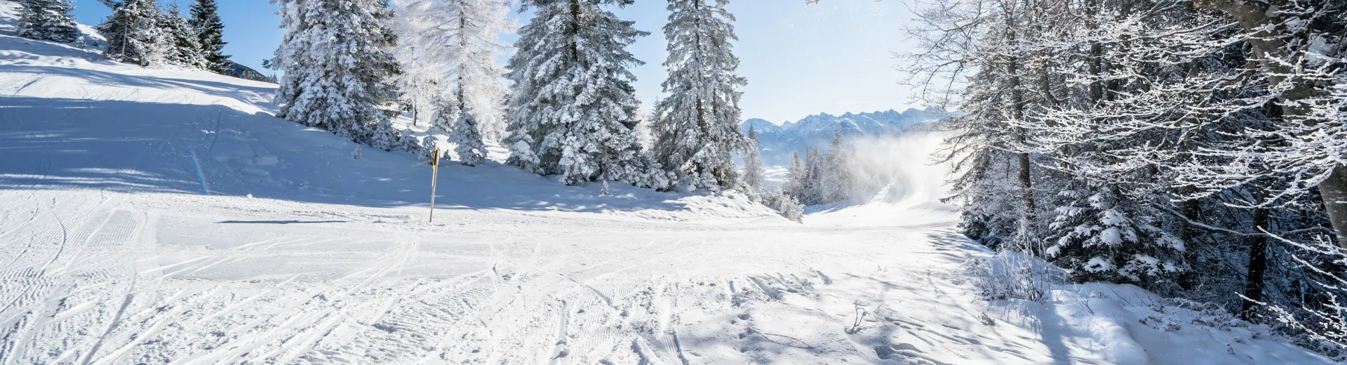 Skipiste in de bergen  van Seefeld Rosshütte