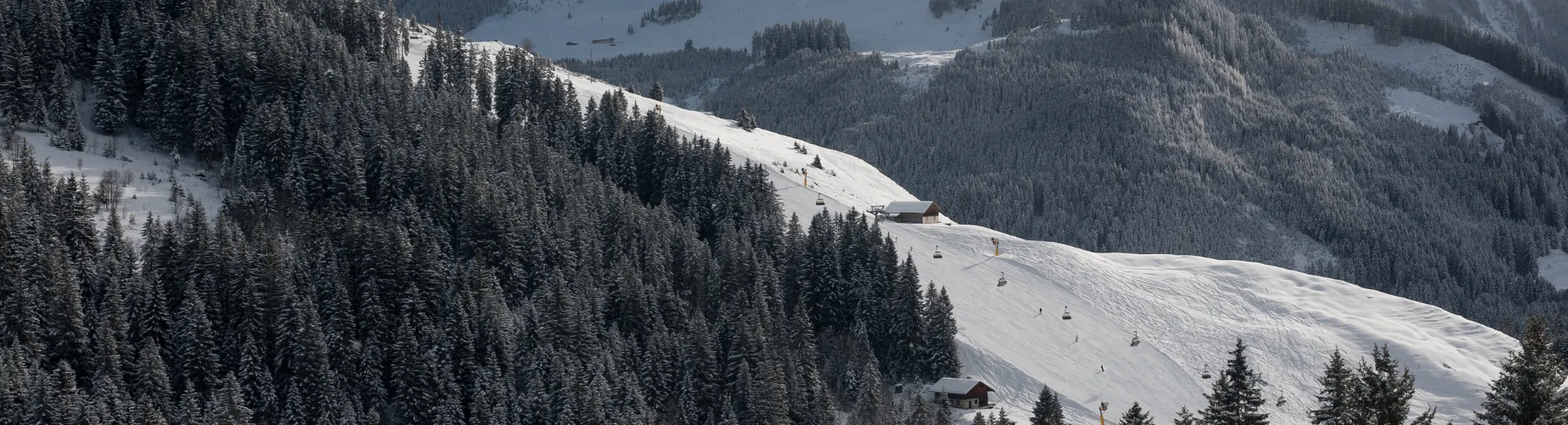 Links bomen en rechts uitzicht over een piste in het skigebied Zillertal 3000.