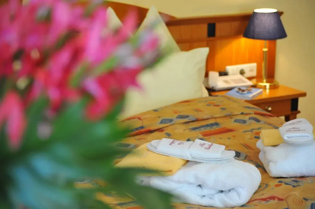 Thermal Resort Hotel Elisabethpark - Kamer