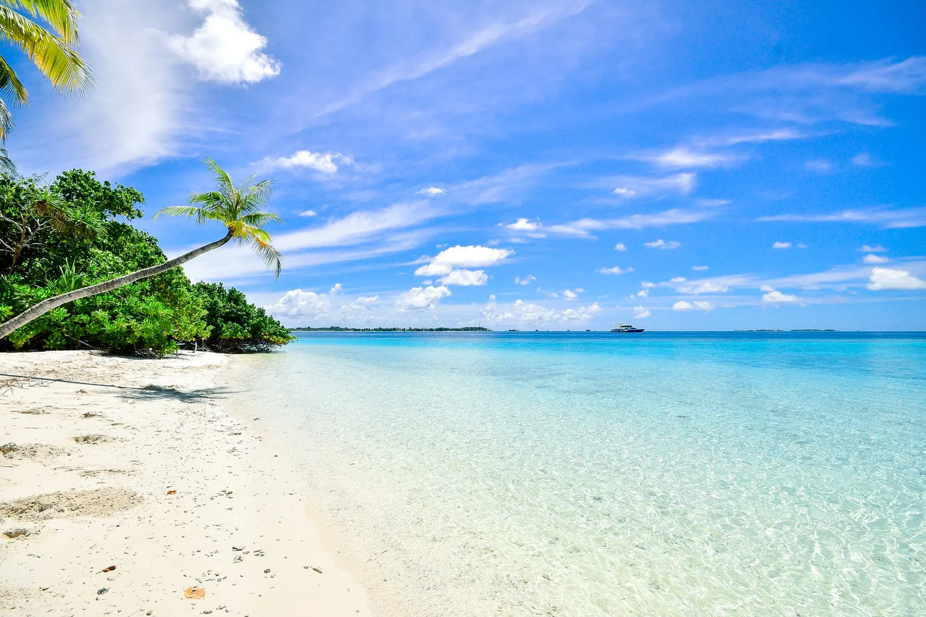 beach alt hero image