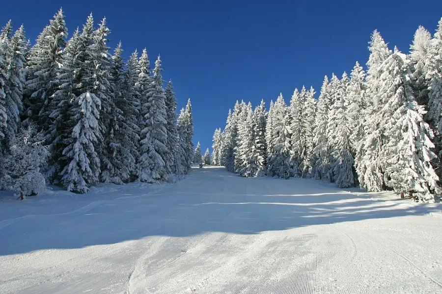 Hotel Restaurant Feldwebel - Skigebied