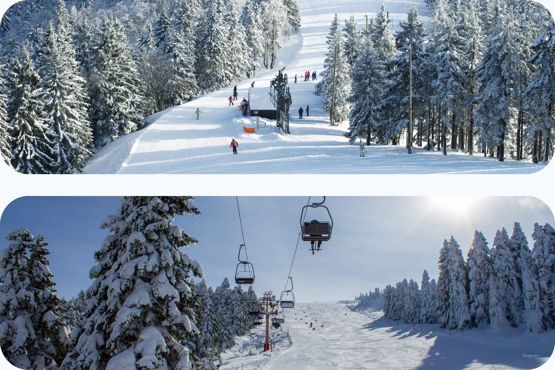 Besneeuwde skipiste met wintersporters tussen met sneeuw bedekte dennenbomen.