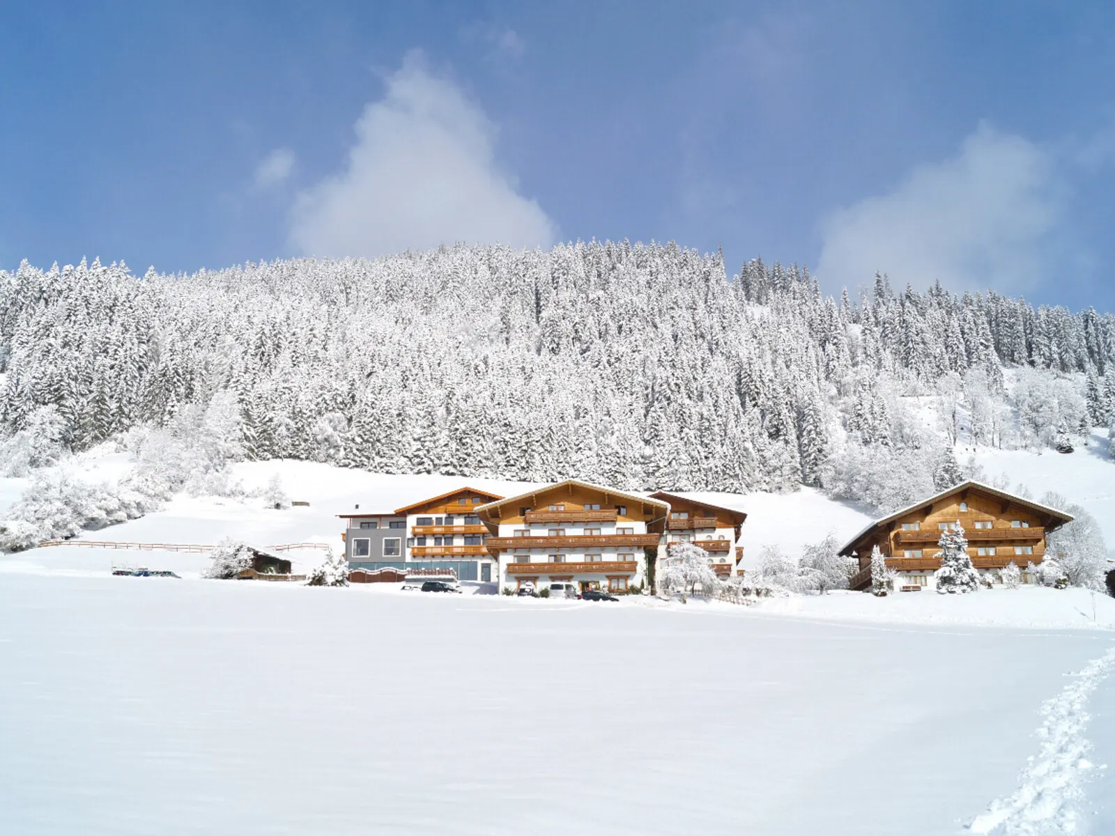 Appartements Alpin Apart - Buitenaanzicht