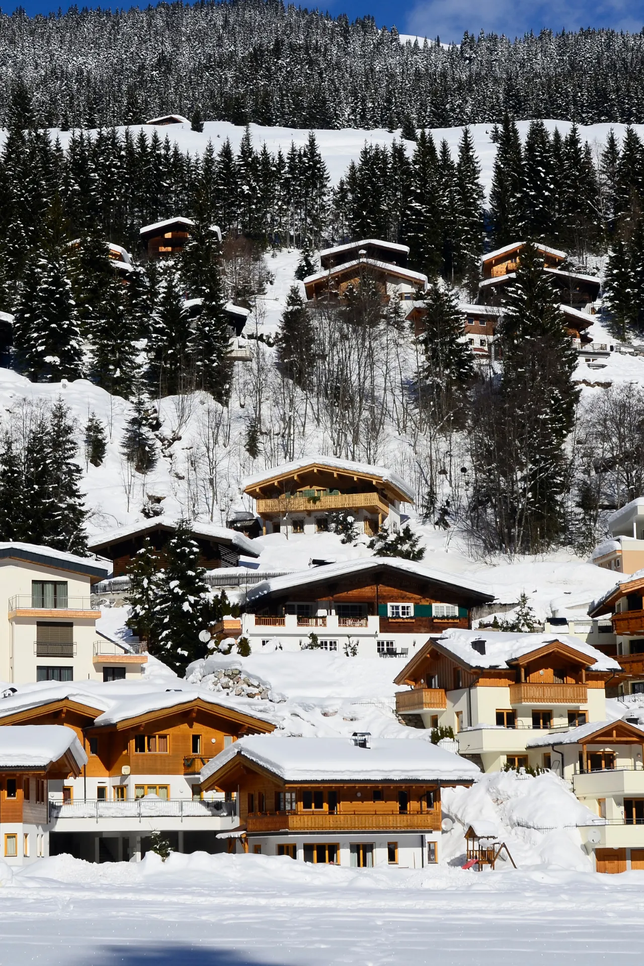 Houten huizen in Saalbach