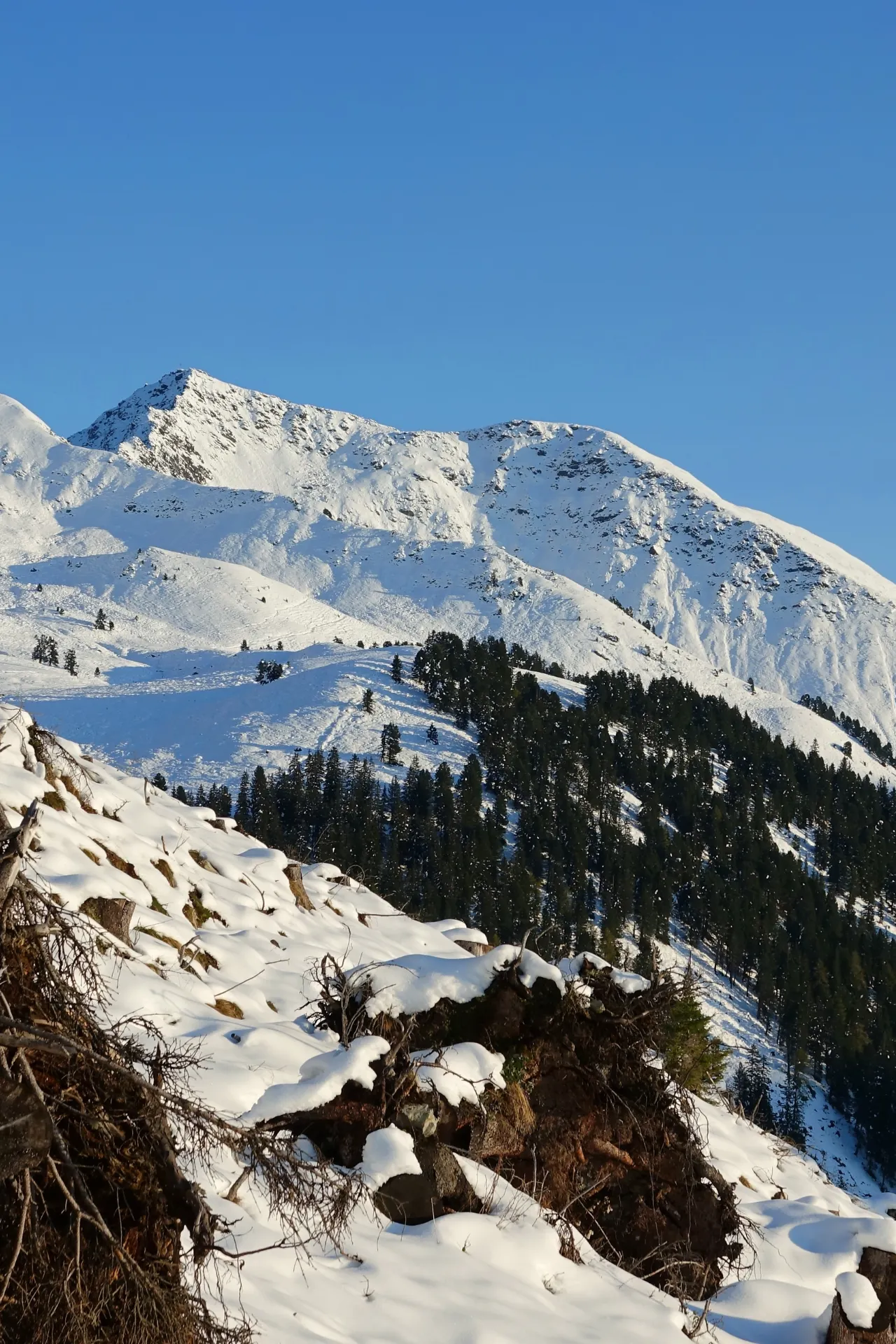 Besneeuwde bergen in Alpbachtal, Oostenrijk