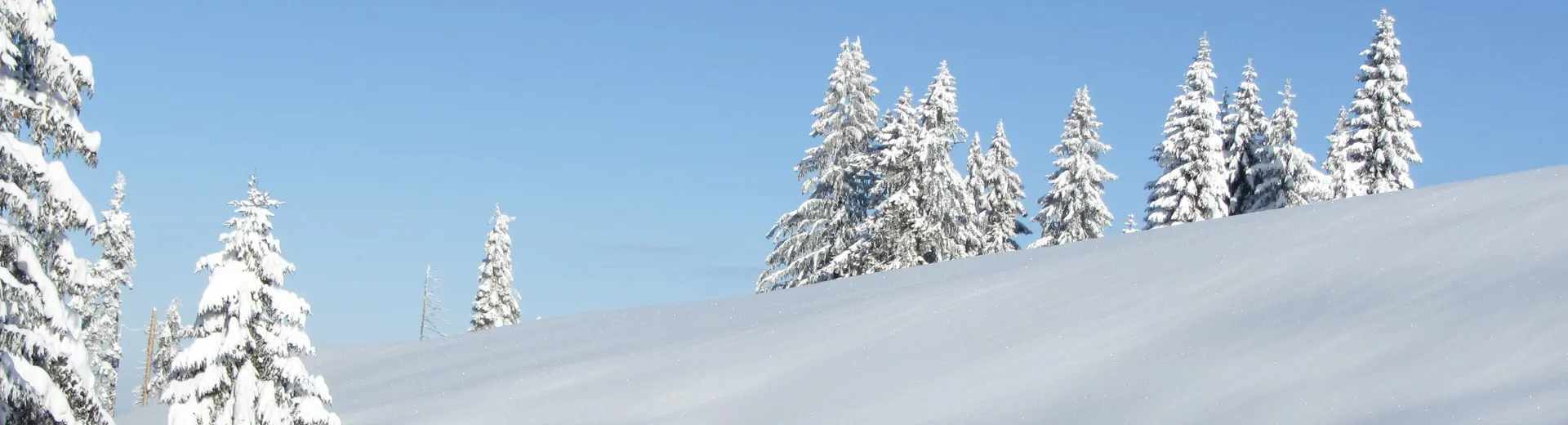 Berg met sneeuw en bomen.