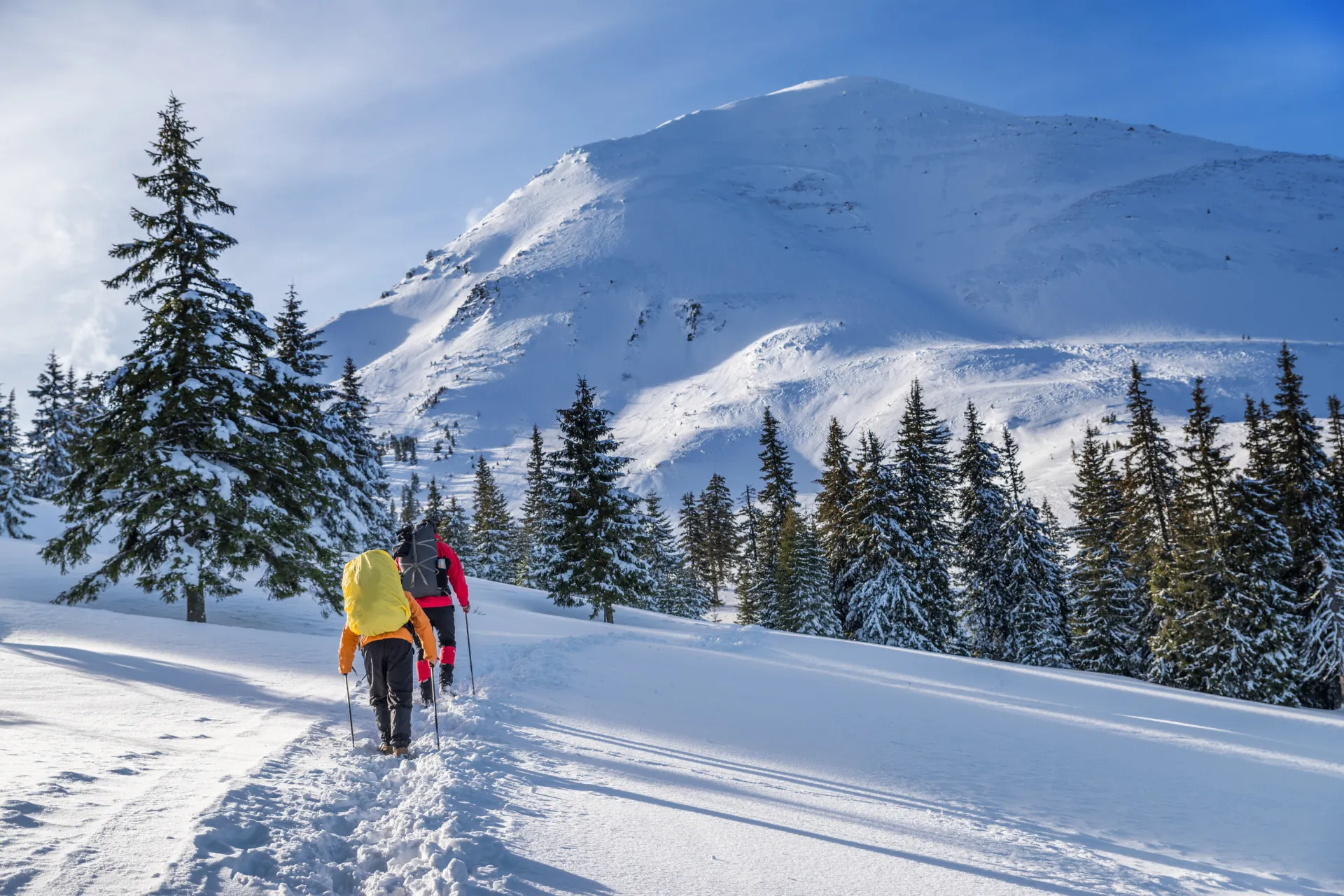 Winterwandeling