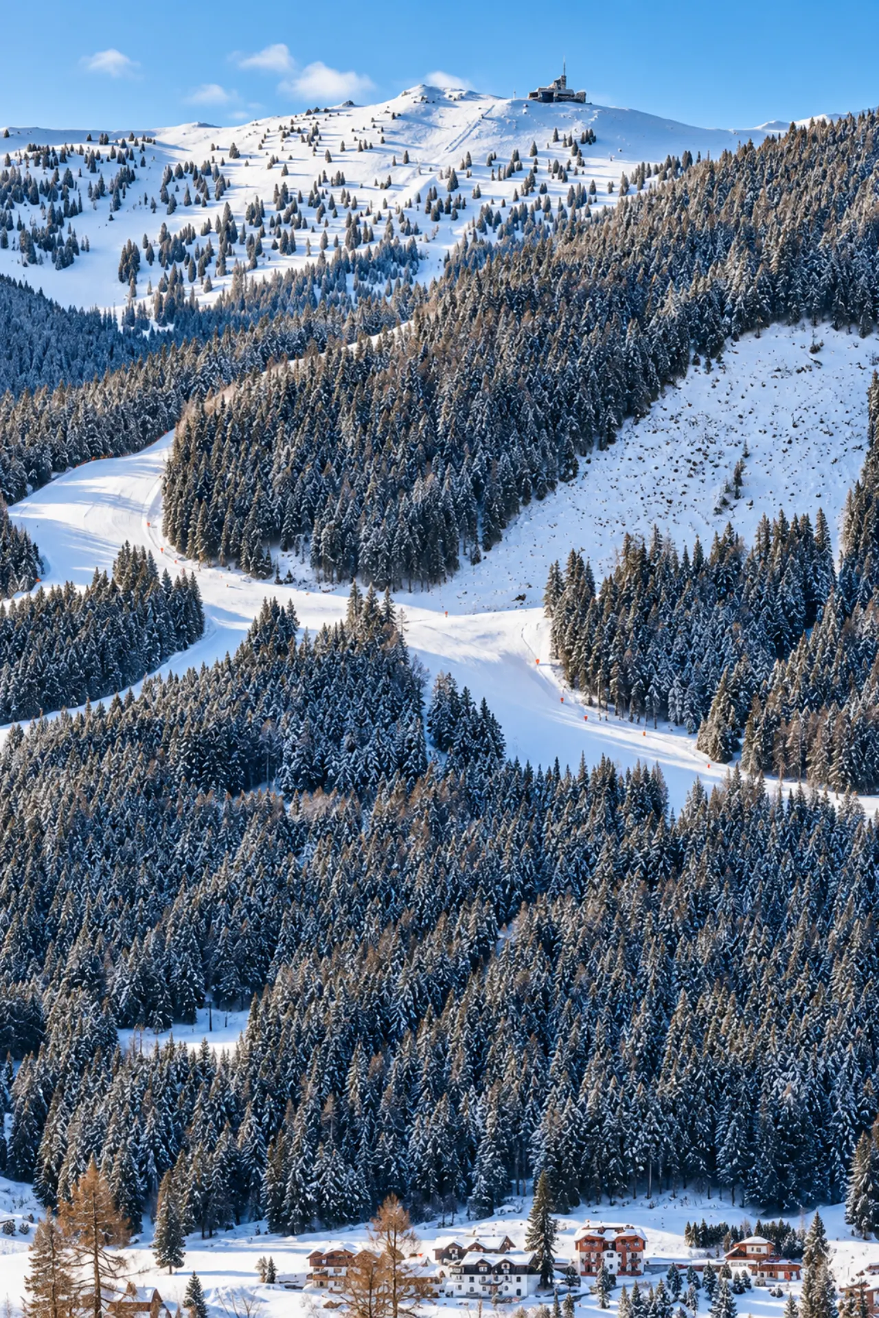 Piste tussen de bomen door