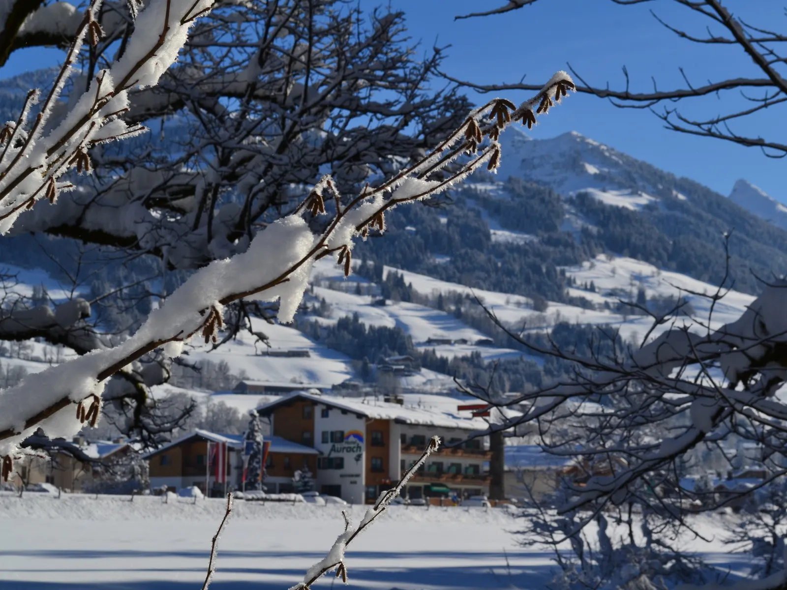 Hotel Aurach - Omgeving
