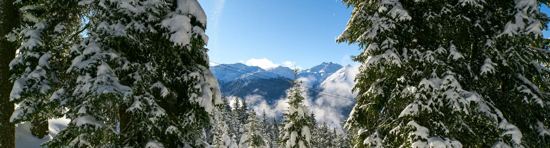 Winterlandschap met besneeuwde bomen in skigebied Silvretta Montafon