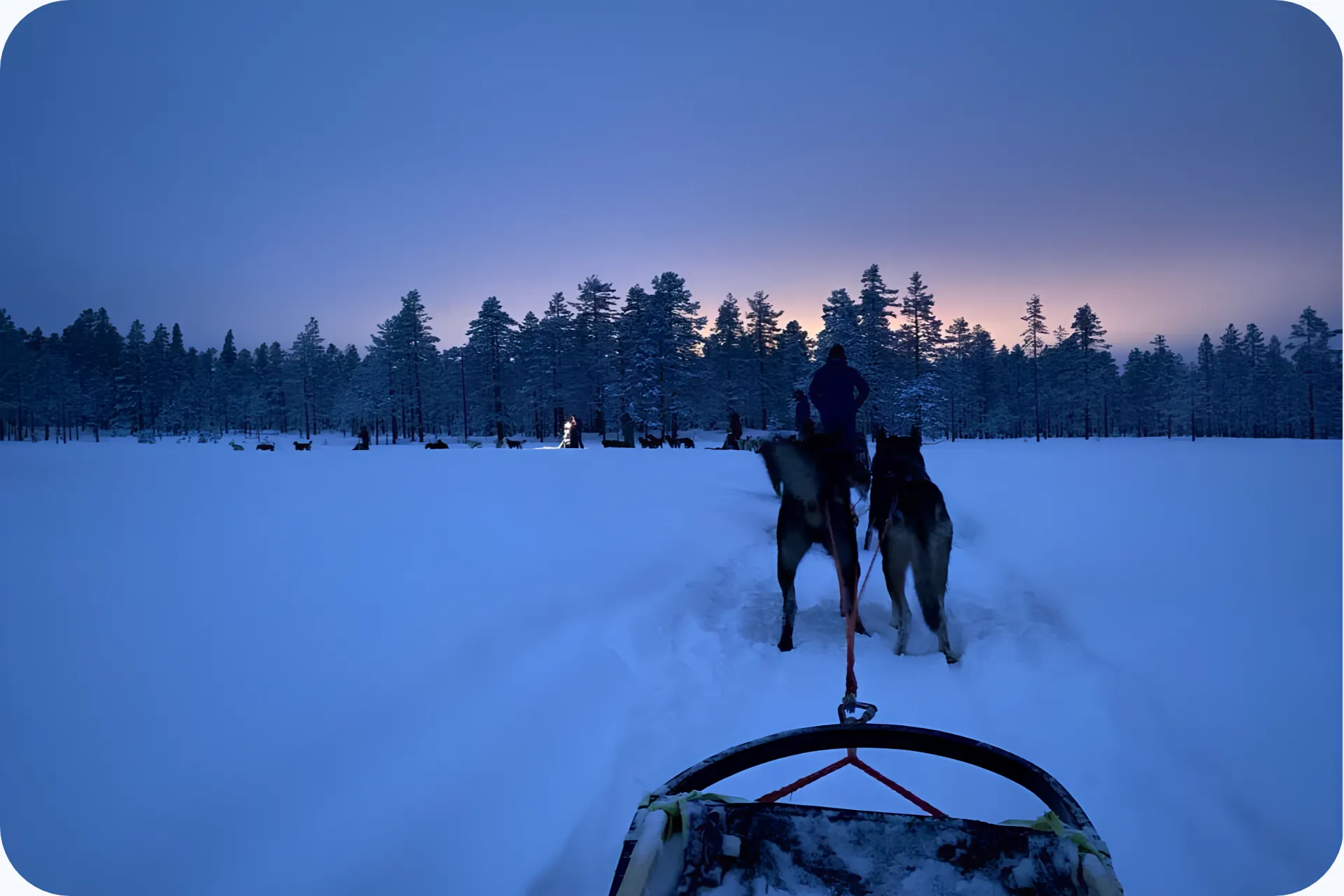 Tocht met slee tijdens de zonsondergang in Noorwegen