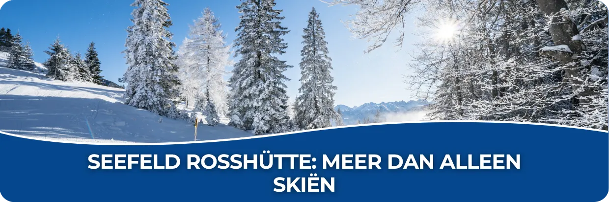 Besneeuwd winterlandschap in Seefeld Rosshütte met bomen, bergen en zon boven de piste.