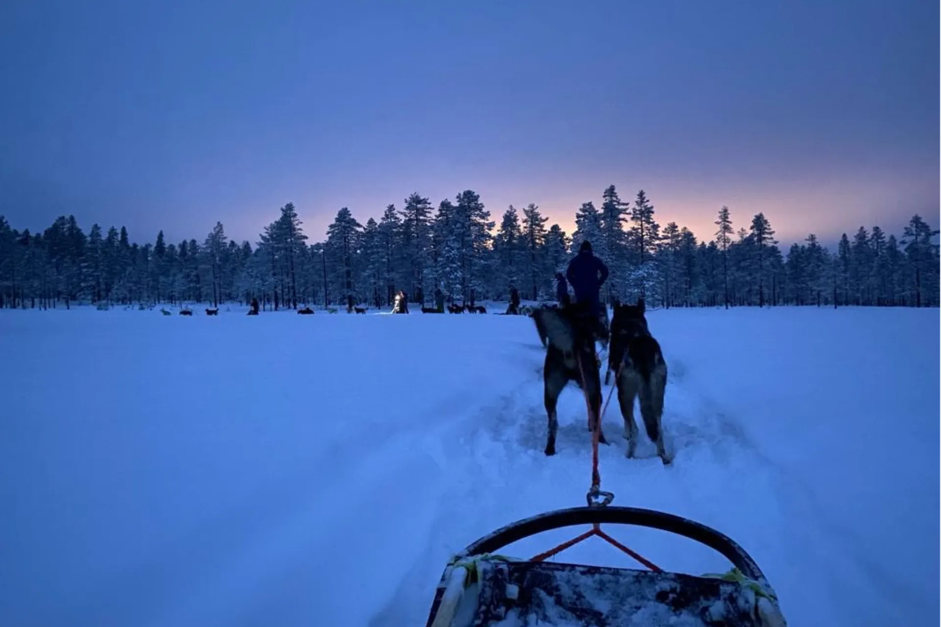 Hondensleeën in Noorwegen