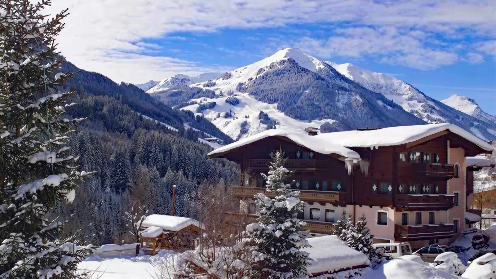 Hotel Altachhof und Appartementhäus - Buitenaanzicht