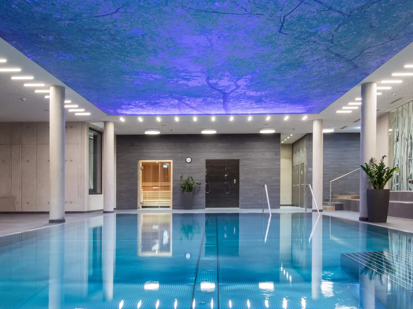 Hotel Der Waldhof - Wellness