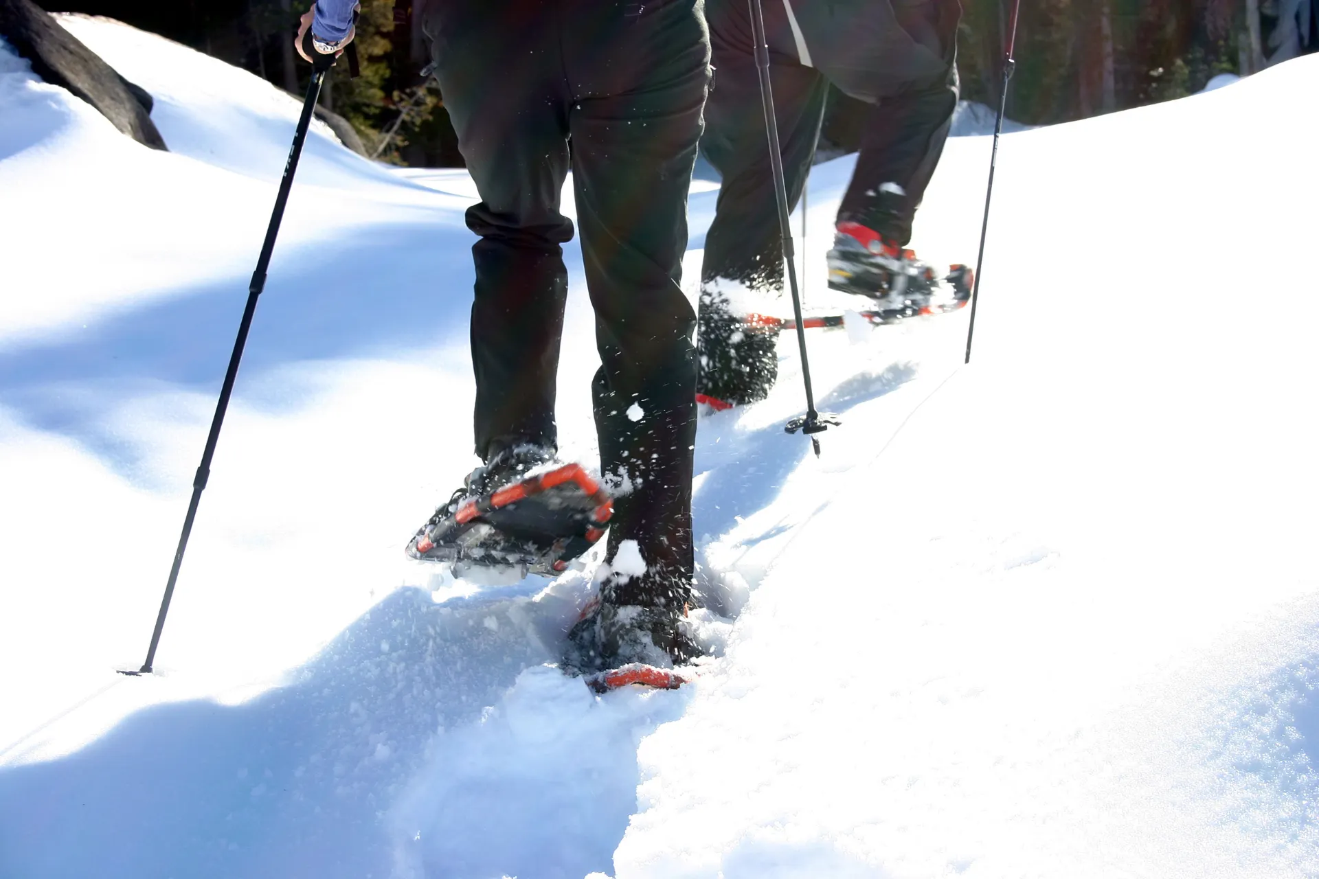 2 mensen die een sneeuwschoenen tocht lopen