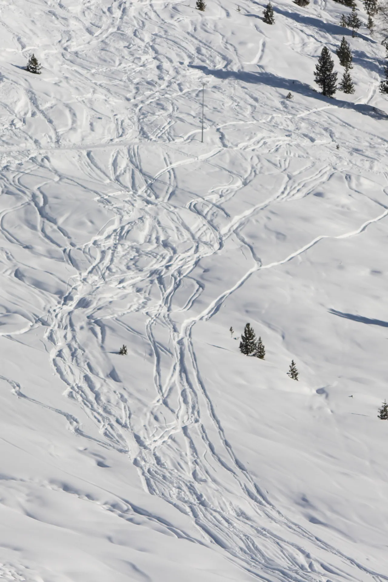 Sneeuw gebied waar sporen van skiërs instaan.